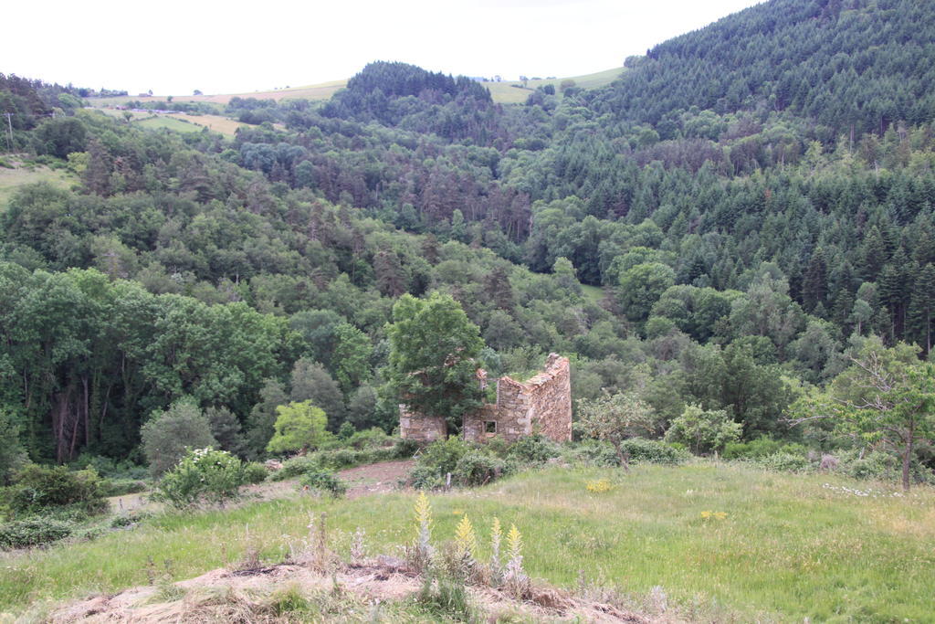 Gite Chez Coste Gilles Saint-Privat-du-Dragon Номер фото