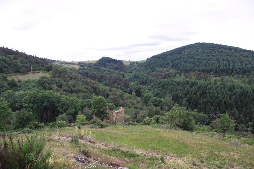 Gite Chez Coste Gilles Saint-Privat-du-Dragon Экстерьер фото